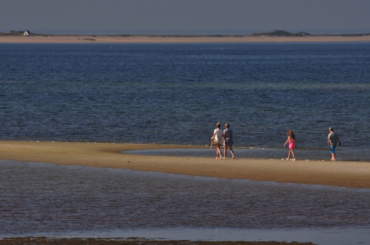 people walking sand bar